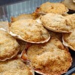 Coquille Saint-Jacques cuisinée maison