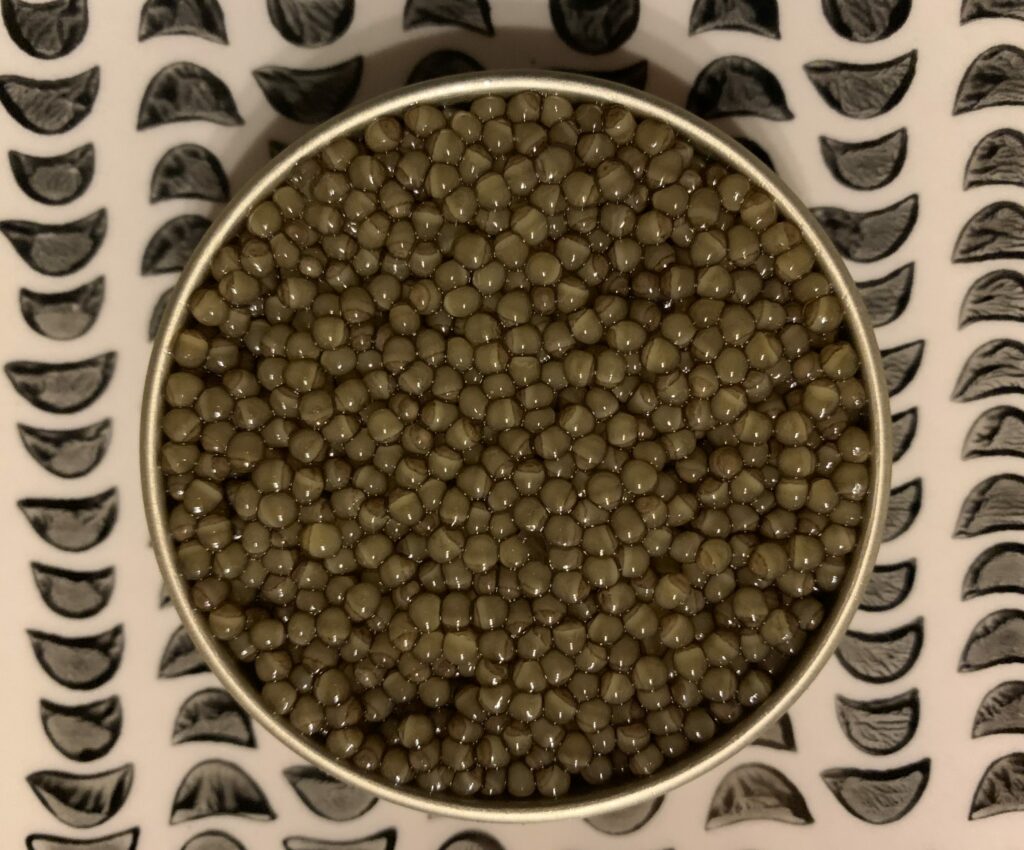 caviar osciètre grand cru